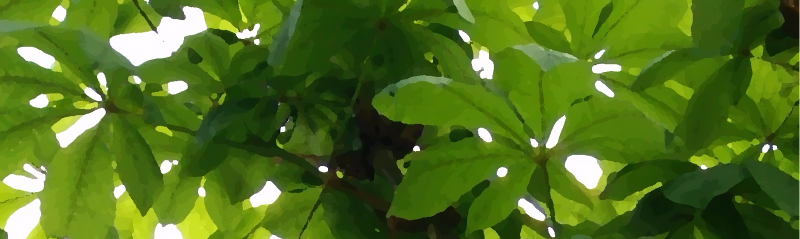 ets gardens