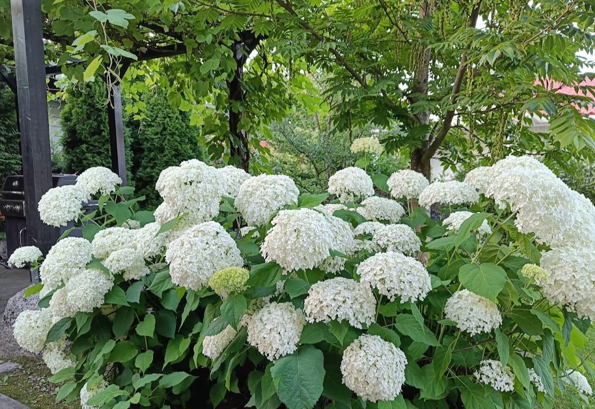 ets gardens